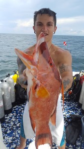 matthew garcy with huge hogfish
