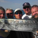 King Mackerel King Fish Caught in Bonita Springs