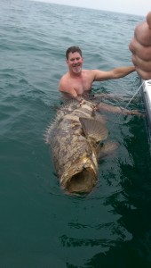 100 lb goliath grouper caught off Naples FL