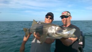 Snook Fishing Naples Florida