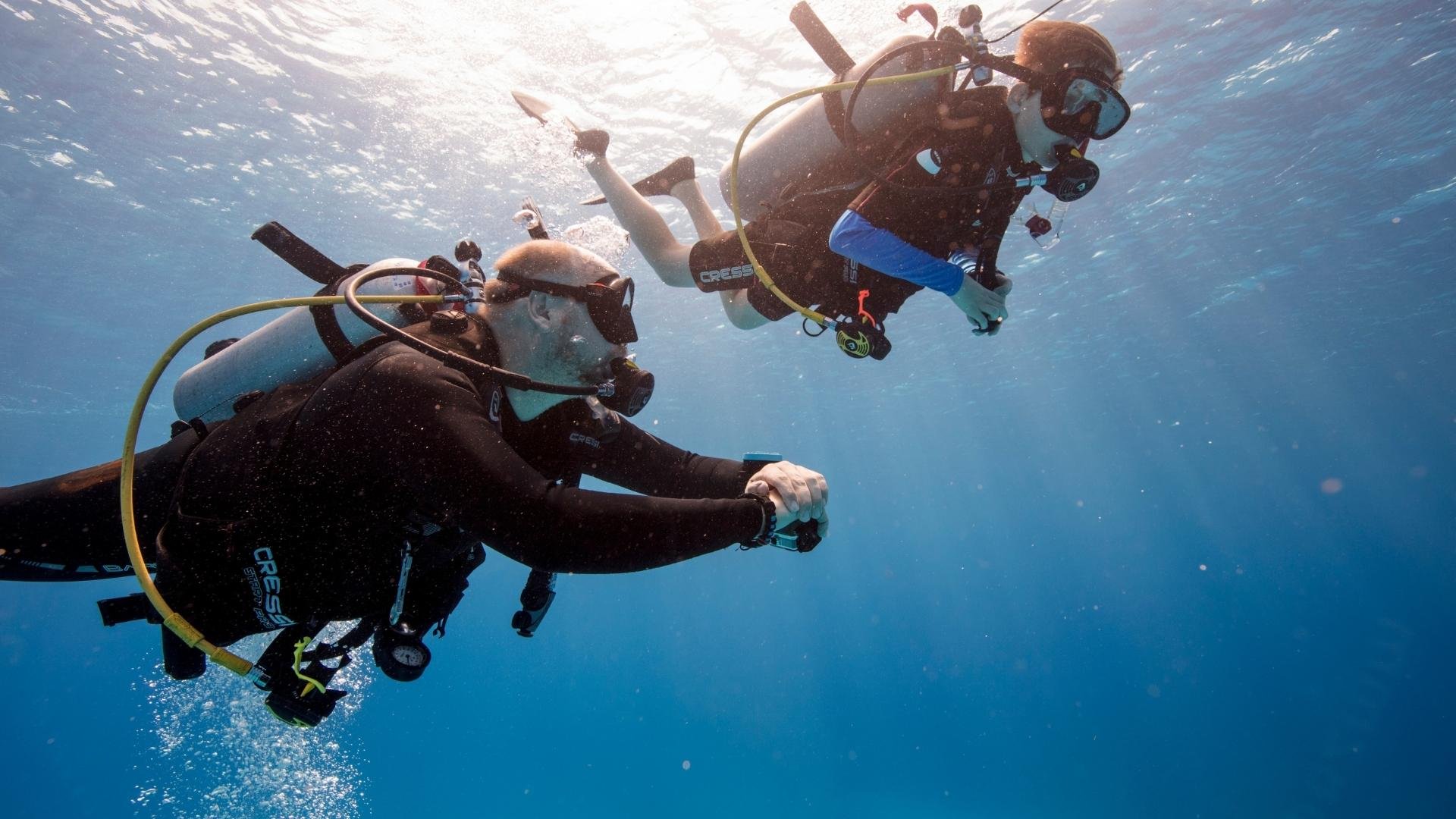 PADI Certification Courses Available with Naples Marina and Excursions