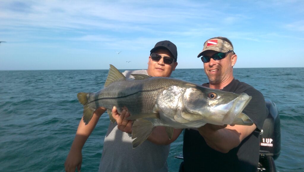 Huge Snook in Naples Florida