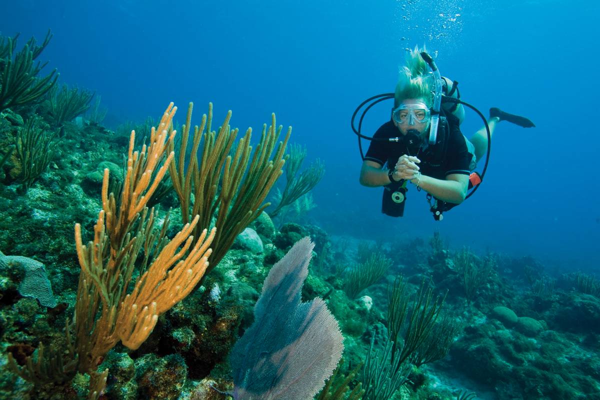 PADI Dive Shop & Scuba Diving Trips